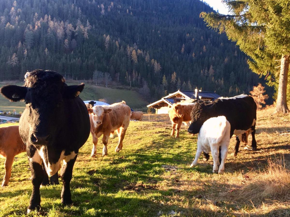 Apartmán Traumblick Dachstein Radstadt Exteriér fotografie